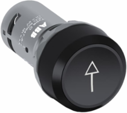 CP9-1015 Pushbutton
