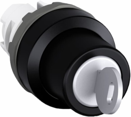 2 Position Key Stainless Steel, Black, B-C, Removable, B - BAA & ARRA Compliant
