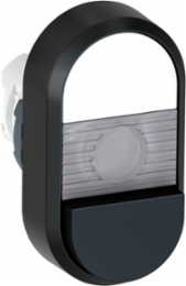 ILL DOUBLE PUSHBUTTON EXT., CLEAR