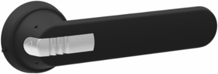 PSTL HDL 175X12 3R,12 SS HASP
