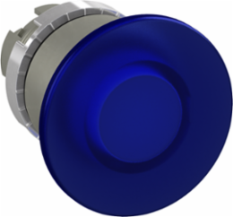 ILL MUSH MOM PB;SATIN CHR;40MM-BLU