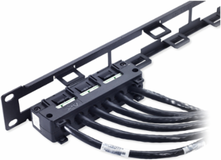 CAT6 UTP CMR Data Distribution Cable 50 FT, 5.98 Inch Height, UL Listed