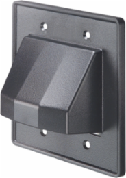 The ScoopTM Reversible Non-Metallic Cable Entrance Plate 2-Gang, Black, 4.625 Inch Height