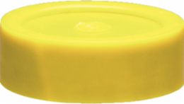 EMT conduit cap. Trade Size 3"