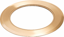 6 Inch Brass Carpet Ring, cULus Listed