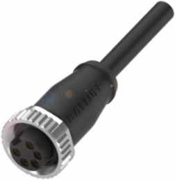 Single-Ended Cordsets BCC A315-0000-10-063-PX05A5-100