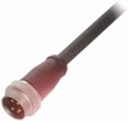 Single-Ended Cordsets BCC A314-0000-20-003-PX04A5-050