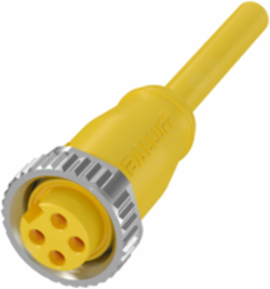 Single-Ended Cordsets BCC A314-0000-10-003-VX44W6-010