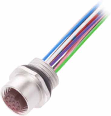Receptacles BCC M45C-0000-1A-RM081-005