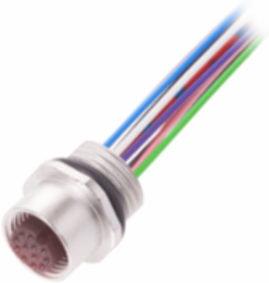 Receptacles BCC M45C-0000-1A-RM081-005