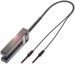 Plastic and glass fibers for fiber-based devices BFO D13-LG-05-EAK-30-02