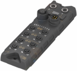 Ethernet/IP Network Block, 2 A Output, IP67, 12 Digital Inputs