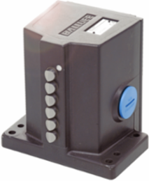 Mechanical multiple position switches BNS 819-D02-L12-100-10-FD