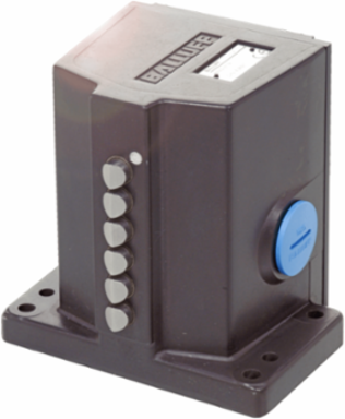 Mechanical multiple position switches BNS 819-D04-D12-100-10
