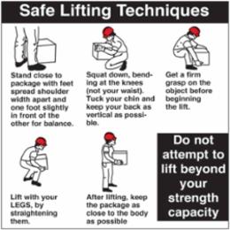 Safe Lifting Techniques Labels, 6" H x 6" W, Black/Red on White