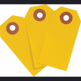 Blank Write-On Tags 3.75 Inch H x 1.875 Inch W, Cardstock, Fluorescent Orange