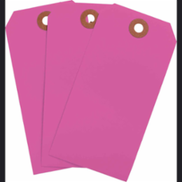 Blank Write-On Tags 4.75 Inch H x 2.375 Inch W, Cardstock, Fluorescent Pink