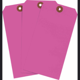 Blank Write-On Tags, 5.75 Inch H x 2.875 Inch W, Cardstock, Fluorescent Pink