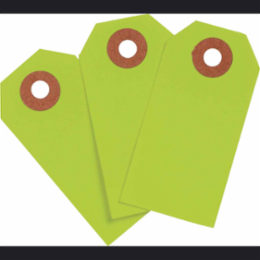 Blank Write-On Tags, 2.75 Inch H x 1.375 Inch W, Cardstock, Fluorescent Green