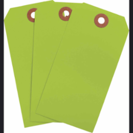 Blank Write-On Tags, 4.25 Inch H x 2.125 Inch W, Cardstock, Fluorescent Green