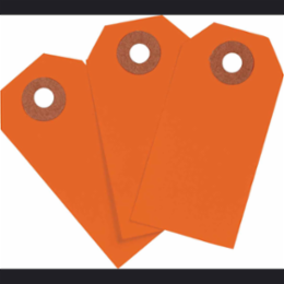 Blank Write-On Tags, 2.75 Inch H x 1.375 Inch W, Cardstock, Fluorescent Red