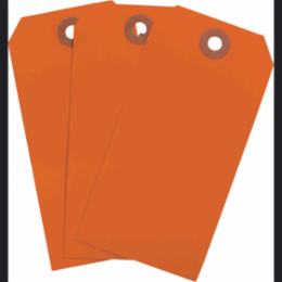 Blank Write-On Tags, 4.75 Inch H x 2.375 Inch W, Cardstock, Fluorescent Red