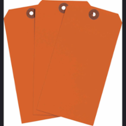 Blank Write-On Tags, 5.75 Inch H x 2.875 Inch W, Cardstock, Fluorescent Red