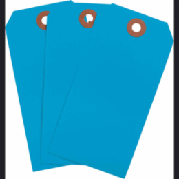 Blank Write-On Tags, 4.75 Inch H x 2.375 Inch W, Cardstock, Light Blue