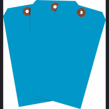 Blank Write-On Tags, 5.75 Inch H x 2.875 Inch W, Cardstock, Light Blue