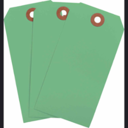 Blank Write-On Tags 4.75 Inch H x 2.375 Inch W Cardstock Light Green