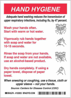 HAND HYGIENE Sign, 7" H x 5" W x 0.004" D, Vinyl