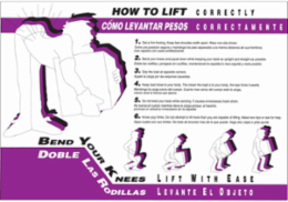 How To Life Correctly Poster - Bilingual