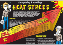 Recognizing & Avoiding Heat Stress Poster