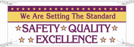 WE ARE SETTING THE STANDARD Safety Quality Excellence Sign, 4' H x 10' W x 0.055" D, Polyethylene