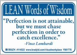 LEAN Words of Wisdom Sign, 3.5" H x 5" Wx 0.006" D, Pack of 10 Labels