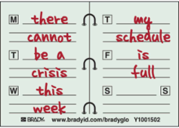 THERE CANNOT BE A CRISIS THIS WEEK MY SCHEDULE IS FULL Sign, 3.5" H x 5" W, Pack of 10 Labels