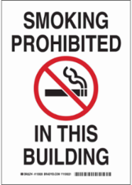 Smoking Prohibited In This Building Sign, 14" H x 10" W x 0.055" D, Polypropylene