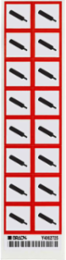 GHS Gas Pressure Picto Labels: Vinyl, Black/Red on White, 1" H x 1" W, 1" H x 1" W x 0.004" D