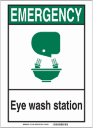 EMERGENCY Eye Wash Station Sign, 7" H x 5" W x 0.06" D, Polystyrene