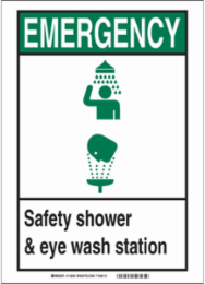 EMERGENCY Safety Shower & Eye Wash Station Sign, 14" H x 10" W x 0.006" D, Polyester
