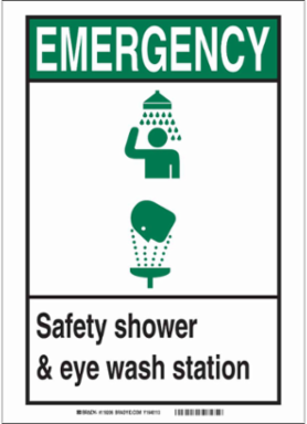 EMERGENCY Safety Shower & Eye Wash Station Sign, 14" H x 10" W x 0.004" D, Vinyl
