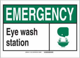 EMERGENCY Eye Wash Station Sign, 10" H x 14" W x 0.006" D, Polyester
