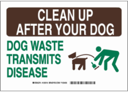 CLEAN UP AFTER YOUR DOG Waste Transmits Disease Sign, 7" H x 10" W x 0.06" D, Polystyrene