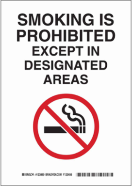 Smoking Is Prohibited Except In Designated Areas Sign, 10" H x 7" W x 0.006" D, Polyester