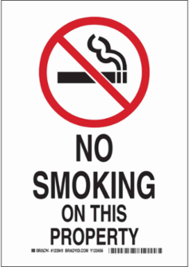 No Smoking On This Property Sign, 10" H x 7" W x 0.006" D, Polyester