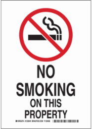 No Smoking On This Property Sign, 14" H x 10" W x 0.006" D, Polyester