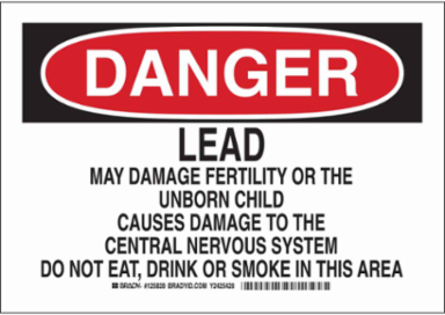 DANGER Lead May Damage Fertility Or The Unborn Child Causes Damage Sign, 10" H x 14" W x 0.06" D, Polystyrene