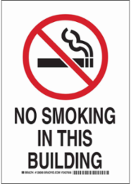 No Smoking In This Building Sign, 14" H x 10" W x 0.06" D, Polystyrene
