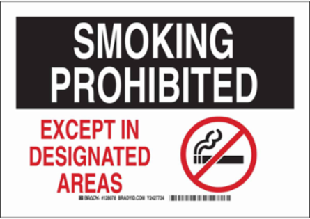 Smoking Prohibited Except In Designated Areas Sign, 7" H x 10" W x 0.006" D, Polyester