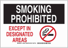 Smoking Prohibited Except In Designated Areas Sign, 7" H x 10" W x 0.006" D, Polyester